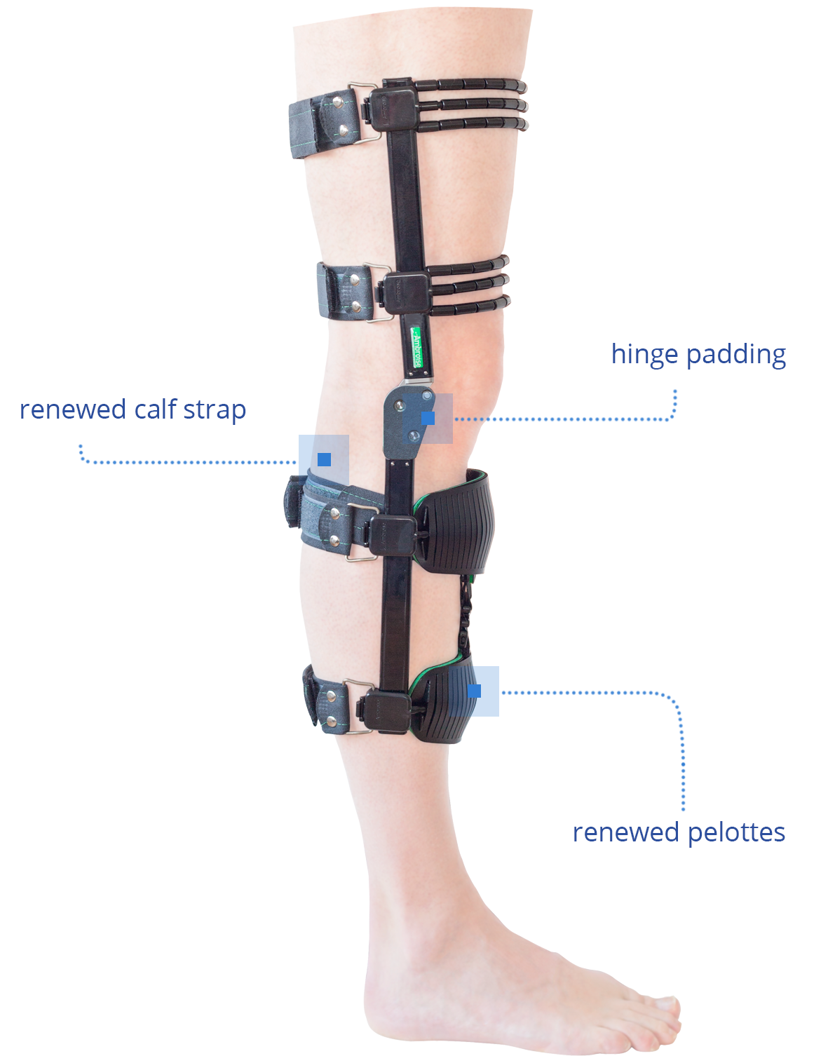 The orthoses of Ambroise are continuously in <strong>development</strong>